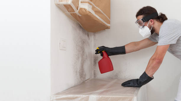 Professional Bathroom Mold Removal technician working in Marion, PA
